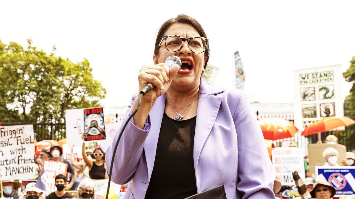 Rep. Rashida Tlaib