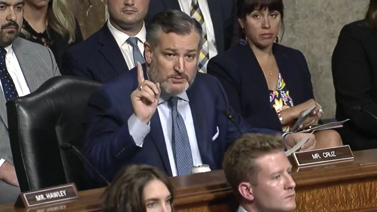 Ted Cruz speaks at a hearing