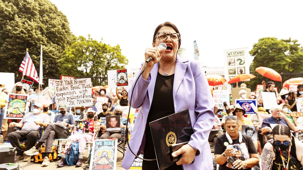 Rep. Rashida Tlaib spoke to protestors in front of the White House at the "Stop Mount Valley Pipeline" on June 8.