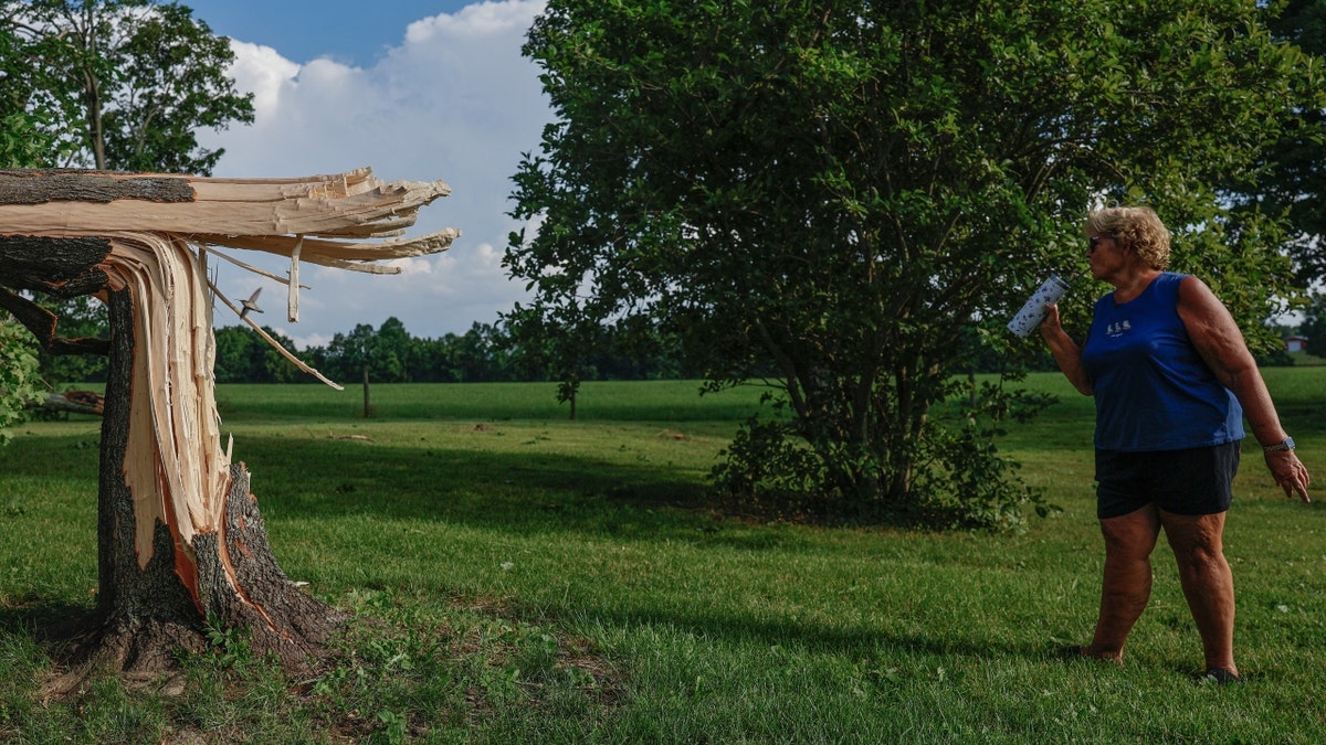 A woman looks at a tree damaged by a tornado in Indiana