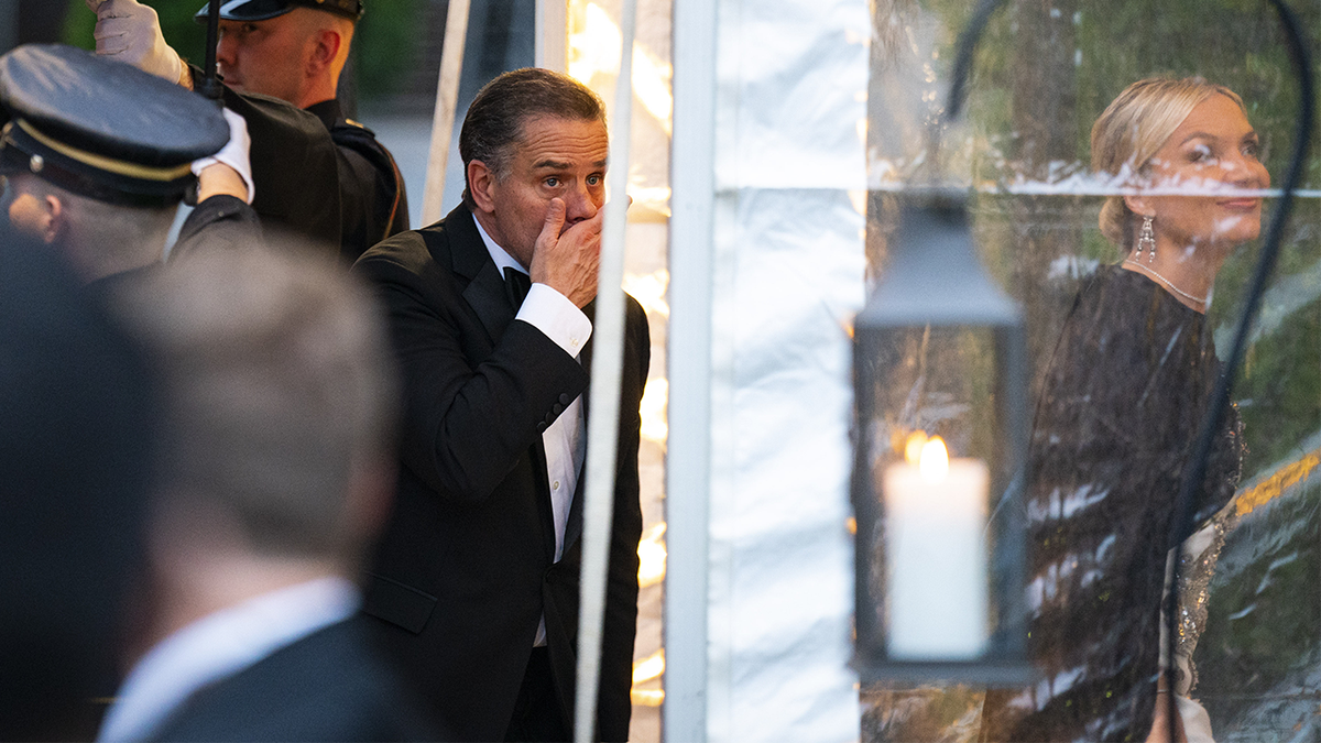 Hunter Biden arrives for state dinner 