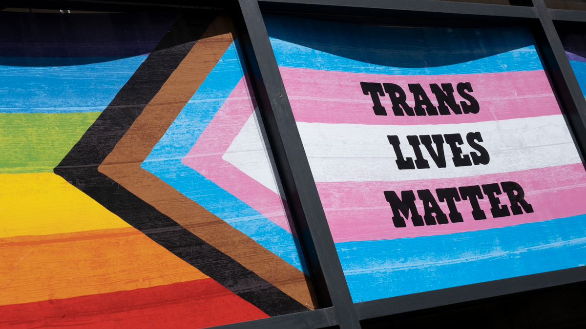 Pride Progress flag alongside the Transgender Pride flag 
