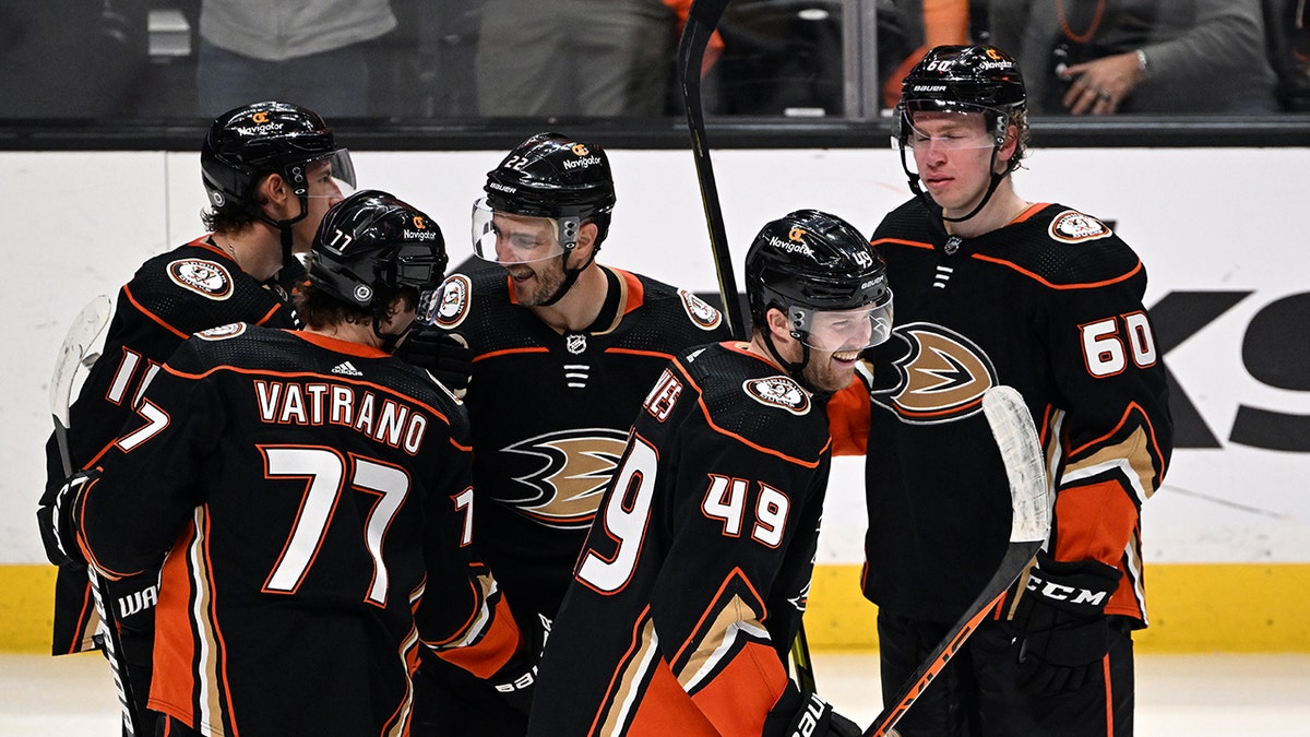 Anaheim Ducks hockey team
