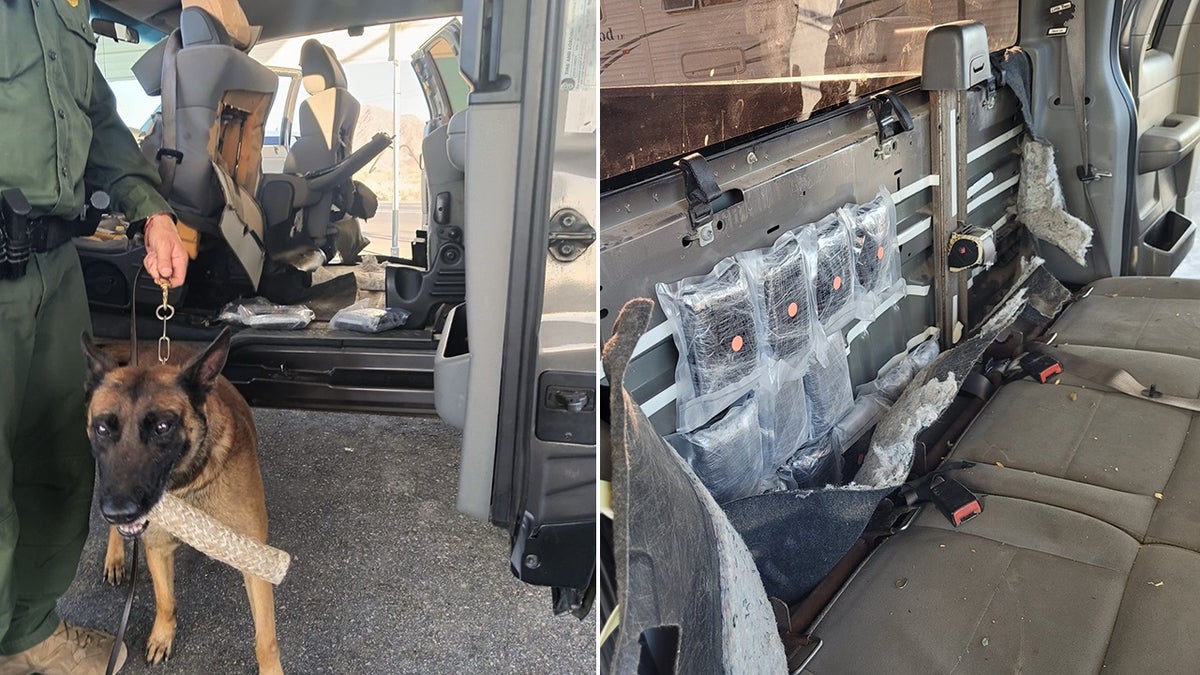 Border Patrol K-9 and fentanyl found in car