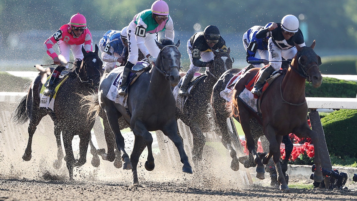 Horses racing in the Belmont Stakes