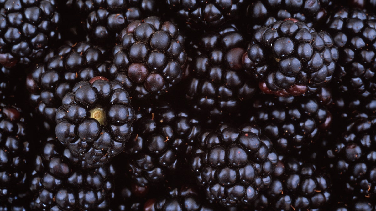 Blackberries