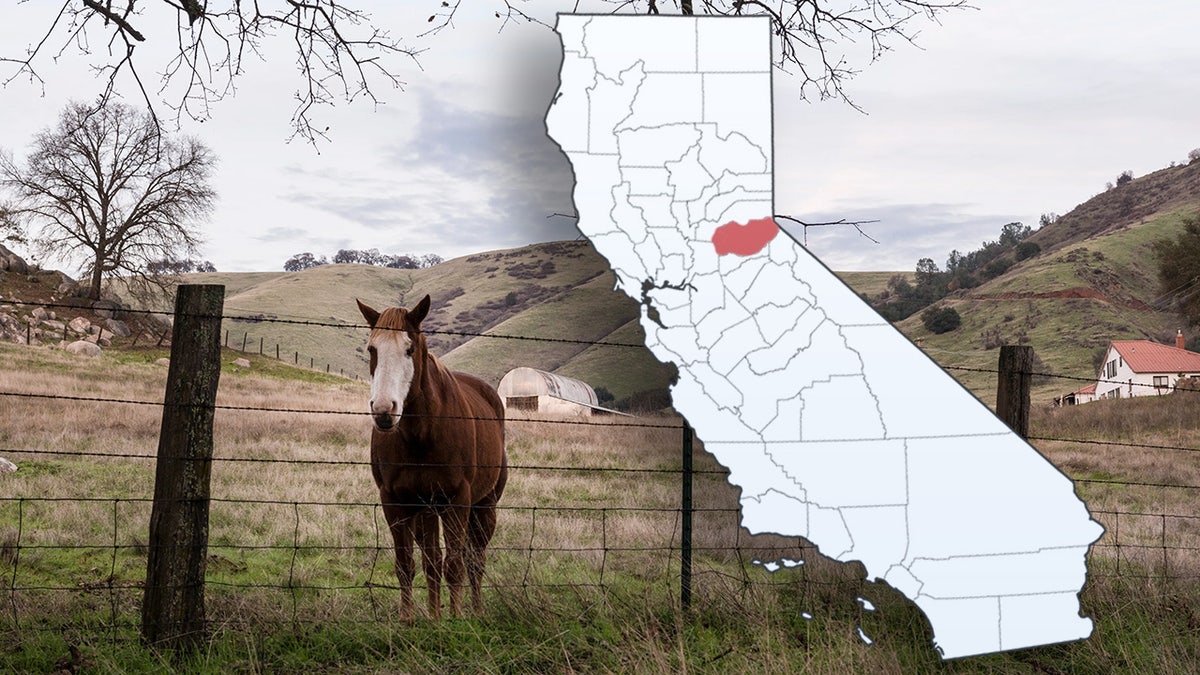 el dorado county california secession