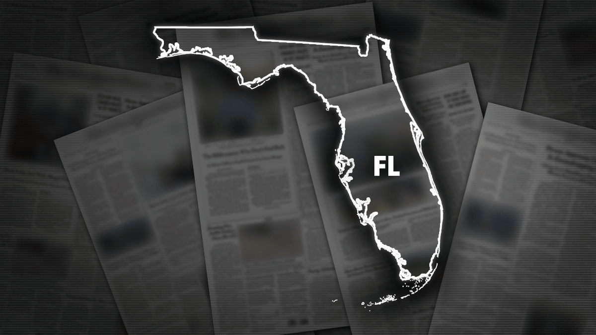 FL Fox graphic 