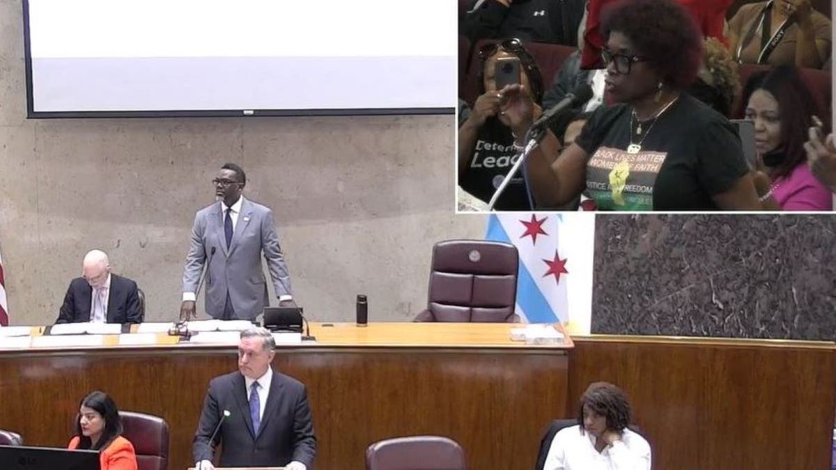 Chicago city council