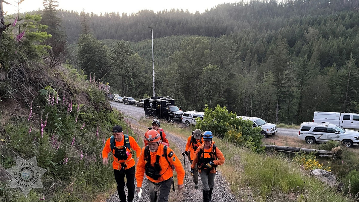 searchers on trail in wooded area