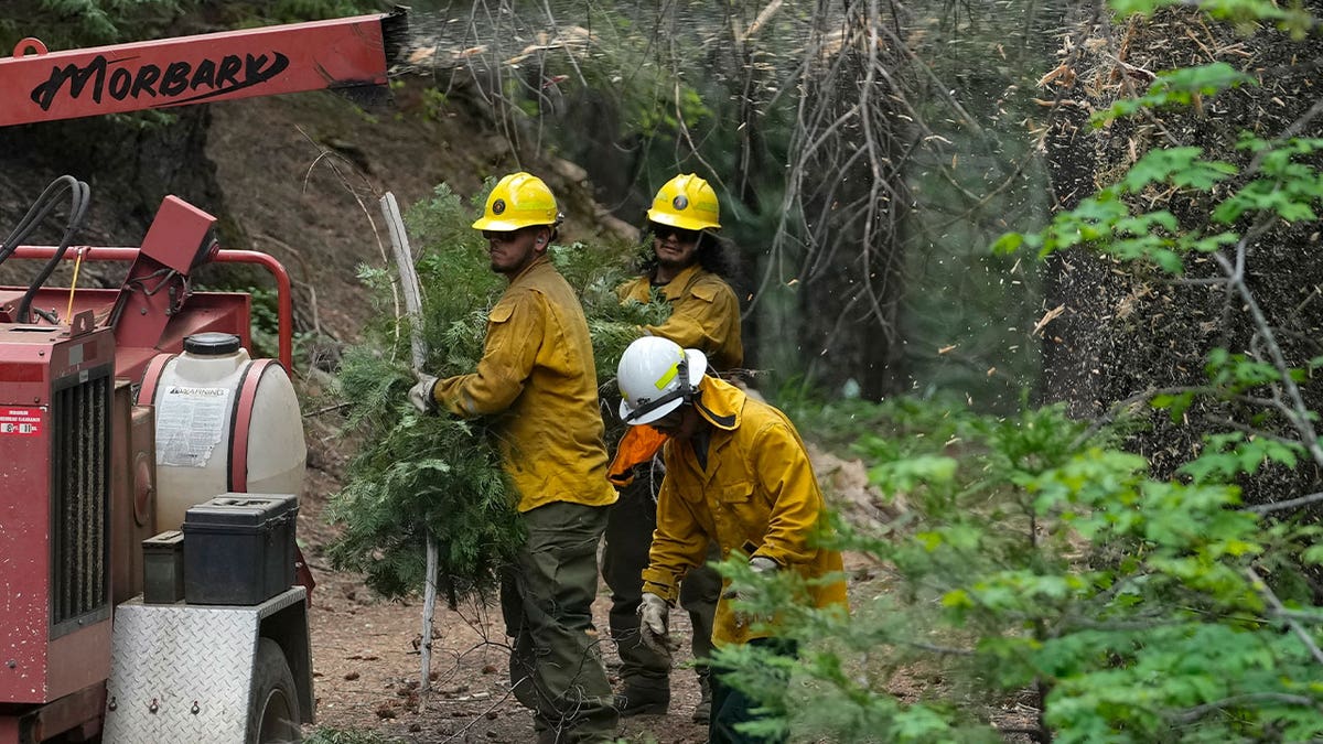 U.S. Forest Service crew