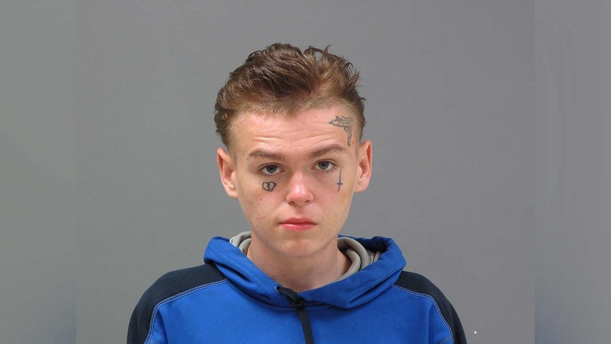 Tristan Stetina mugshot