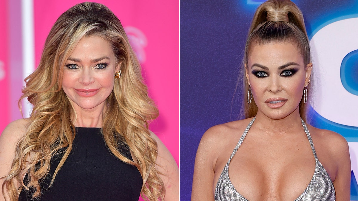 OnlyFans favorites Denise Richards, Sami Sheen, Carmen Electra cash in with risqué website Fox News hq picture