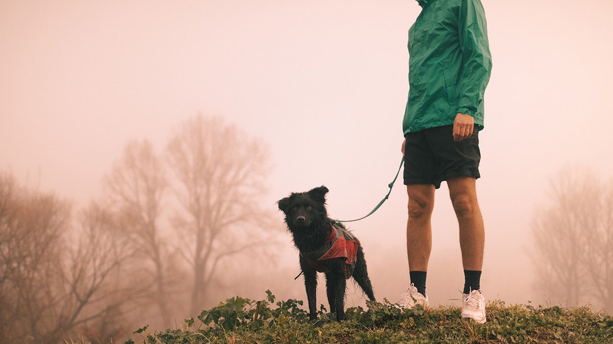 dog and owner on hill in smog