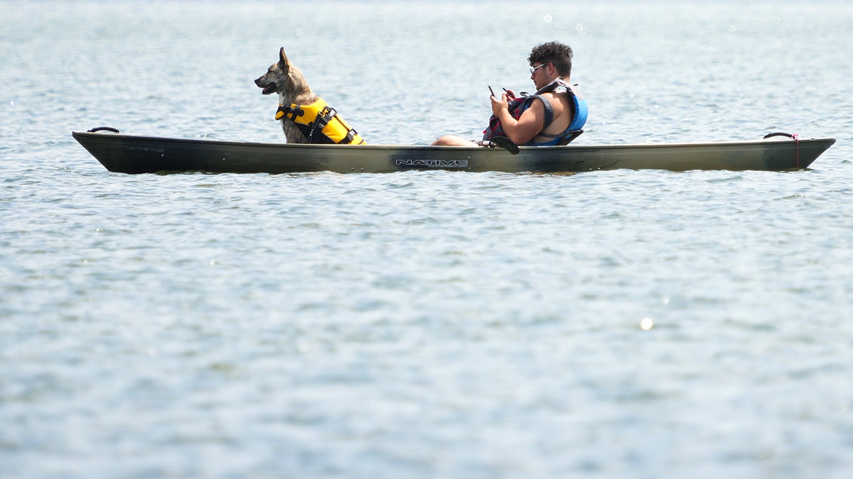 Dog and a man on a boat