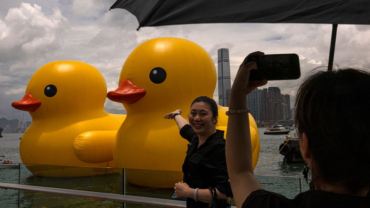 giant duck toys in Hong Kong