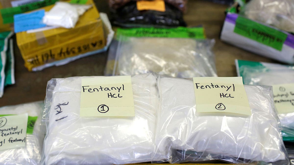 Plastic bags of fentanyl are displayed on a table at a U.S. Customs and Border Protection area in Chicago, Illinois, on Nov. 29, 2017. REUTERS/Joshua Lott