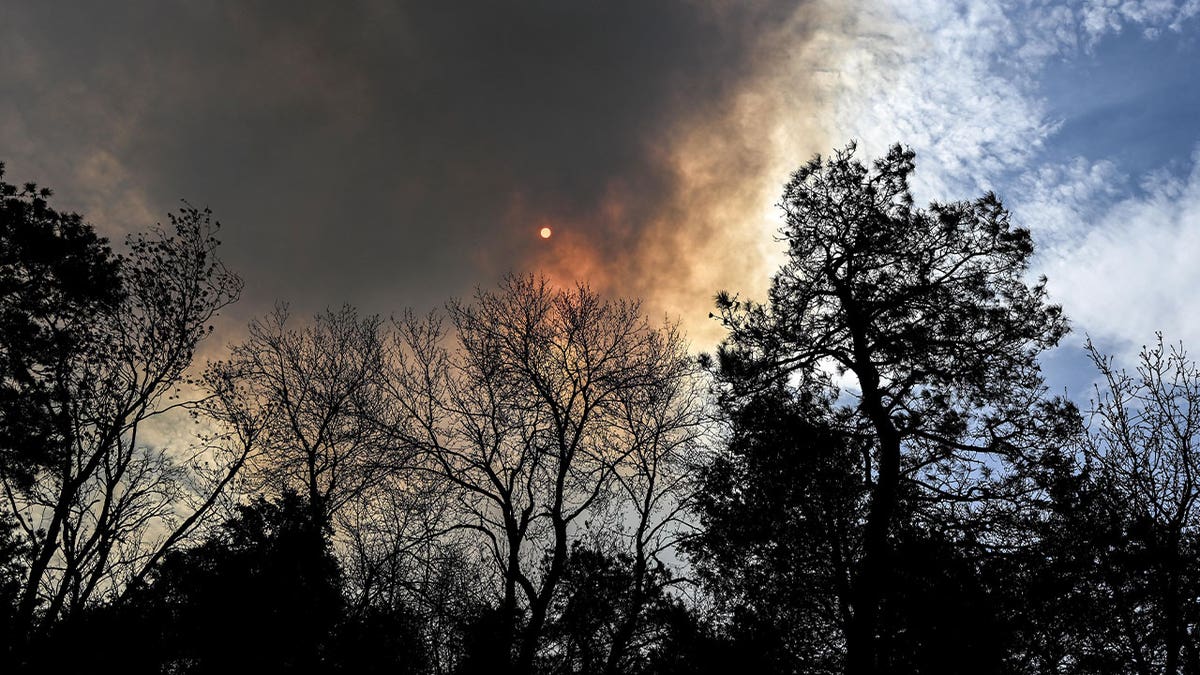 forest fire NJ