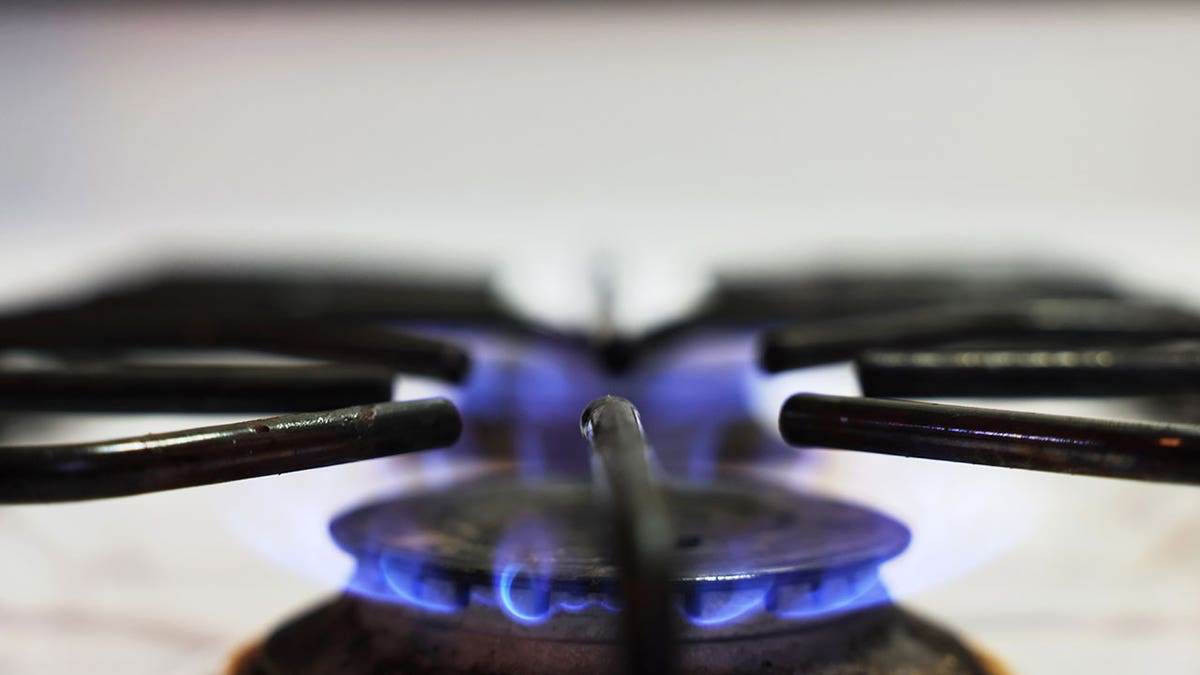 A flame burns on a gas stove on April 28, 2023, in New York City. The GOP-led Legislature of North Carolina will send Gov. Roy Cooper a bill that bans the expansion of certain energy appliances and services based on fuel type.