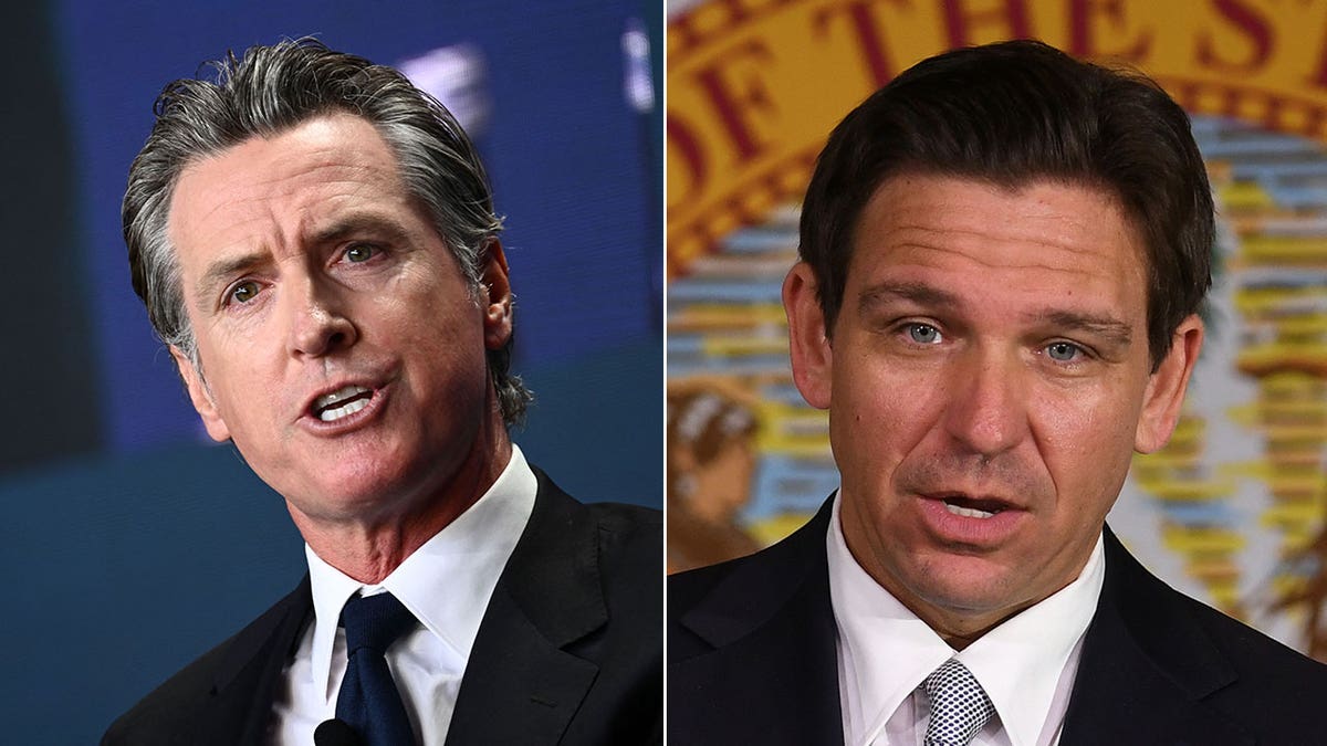 newsom and desantis split image