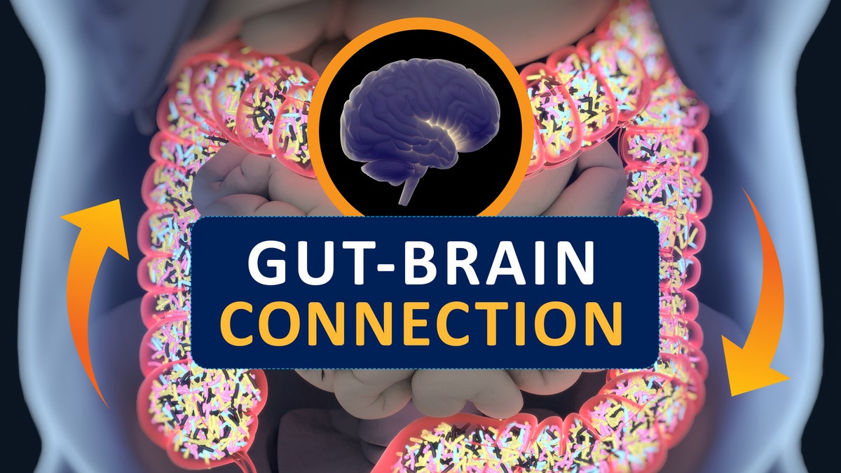 Gut-brain connection