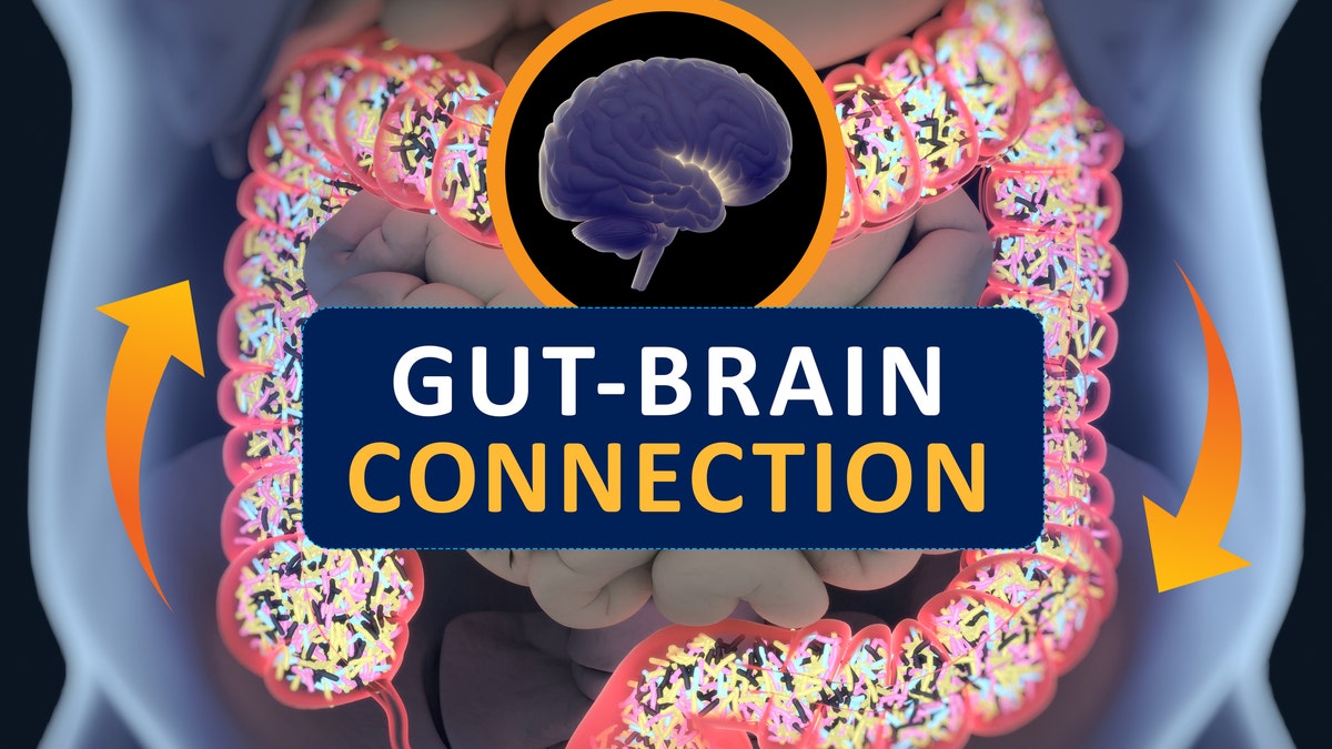 Gut-brain connection