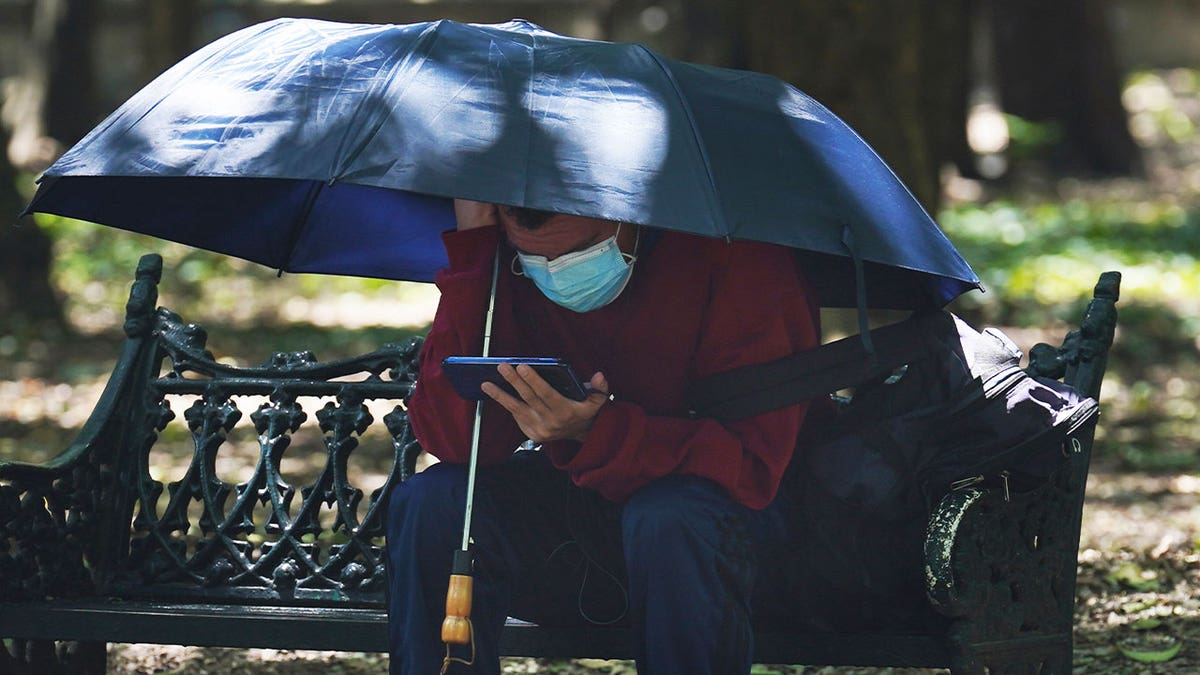 person under umbrella