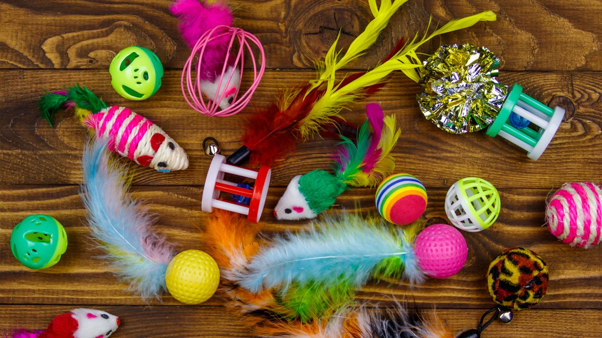 Cat toys on display on wood surface.