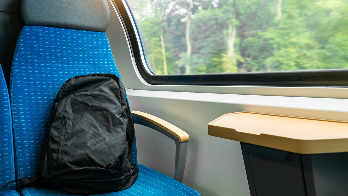 bag sitting on train seat