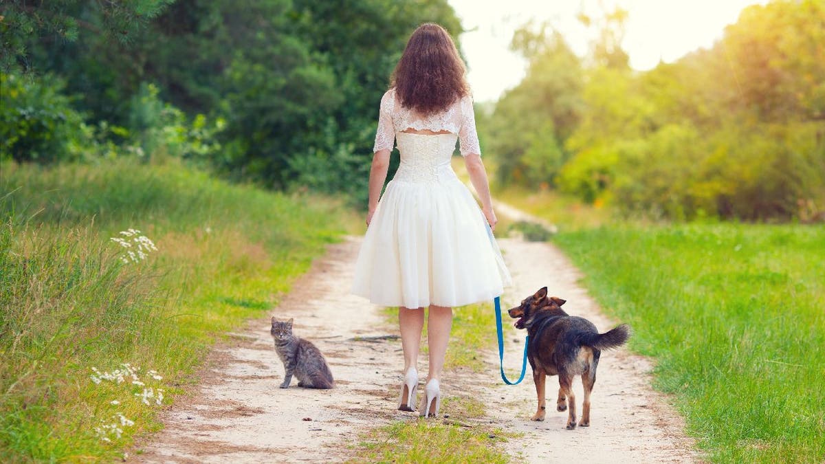 Woman in a white dress walking with dog and cat on the rural road.