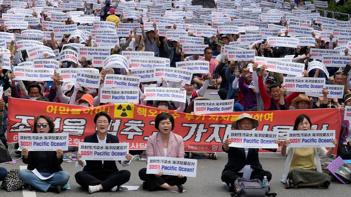 Rally in Seoul