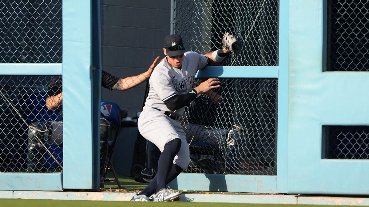 Aaron Judge after catch at wall