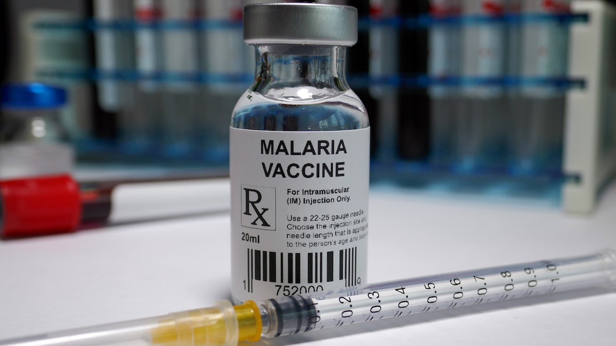 Malaria vaccine