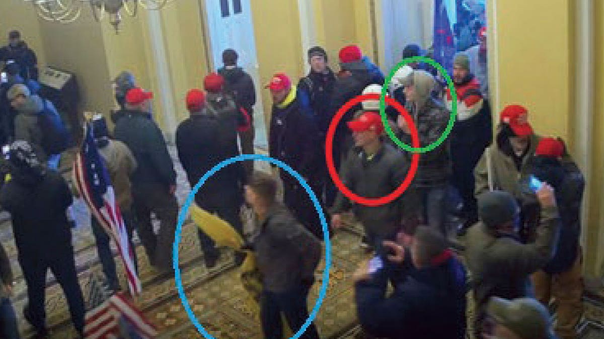 Washington Capitol protestors