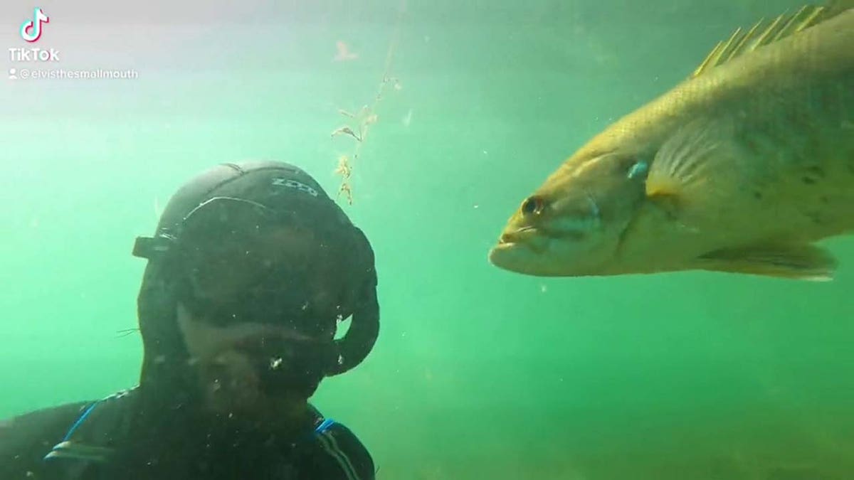 Wisconsin man and fish are friends, seen in lake