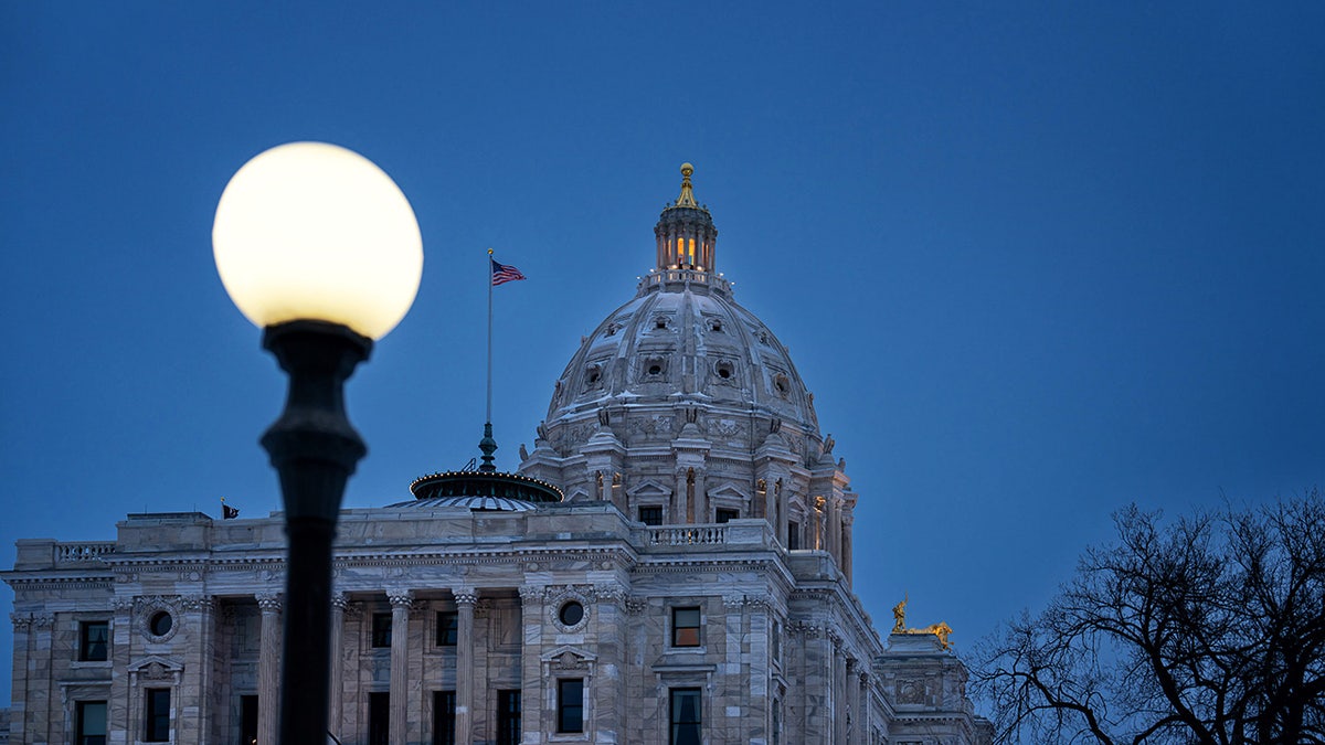 Minnesota State legislature