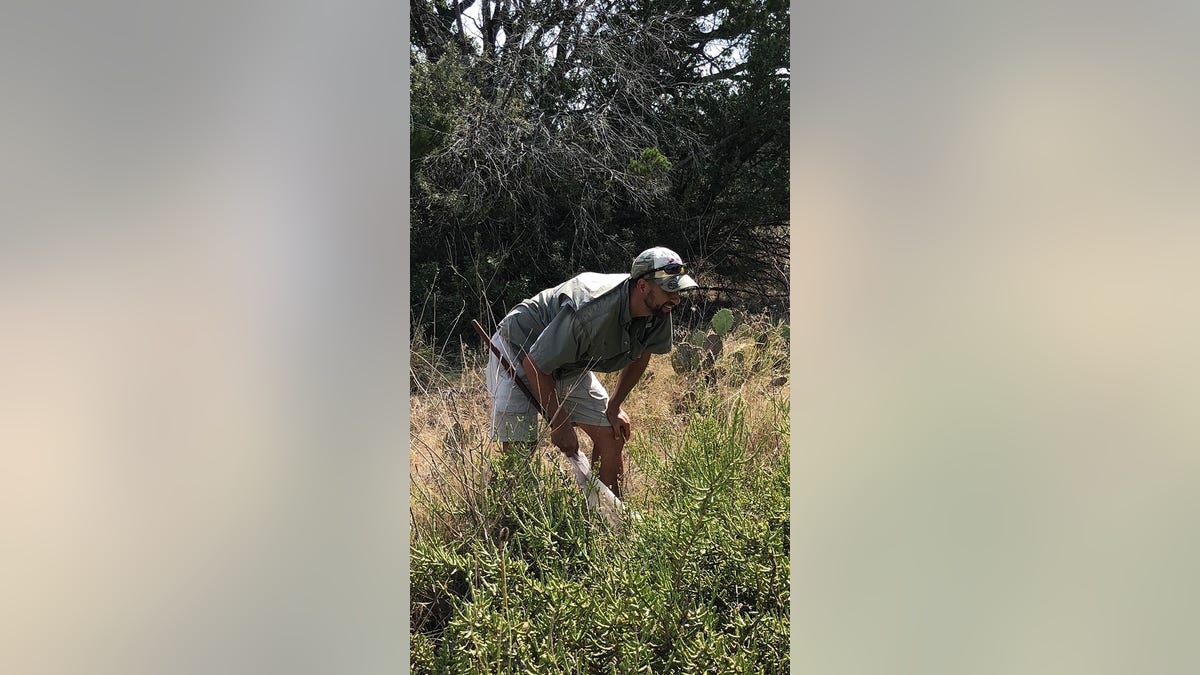 Dr. JoVonn Hill looking at grasshoppers