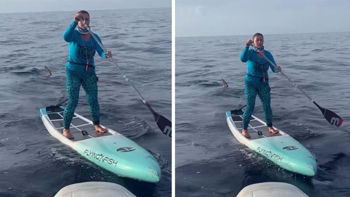 Woman paddleboarding with shark fin visible behind her