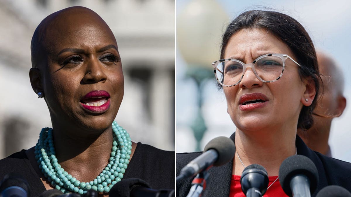 Progressive Reps. Ayanna Pressley and Rashida Tlaib are teaming up on a new bill aimed at curbing landlords' access to potential tenants' criminal histories