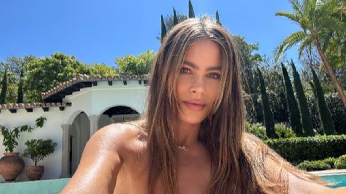 Sofia Vergara poses topless in poolside snap