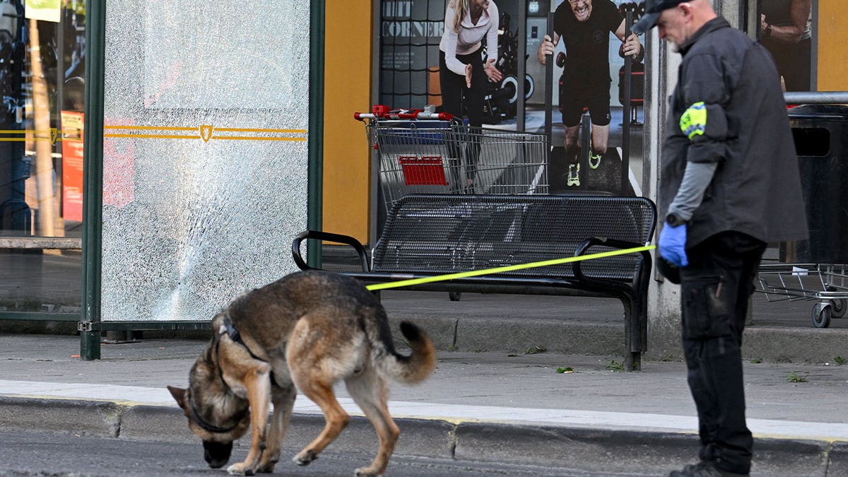 sweden crime scene