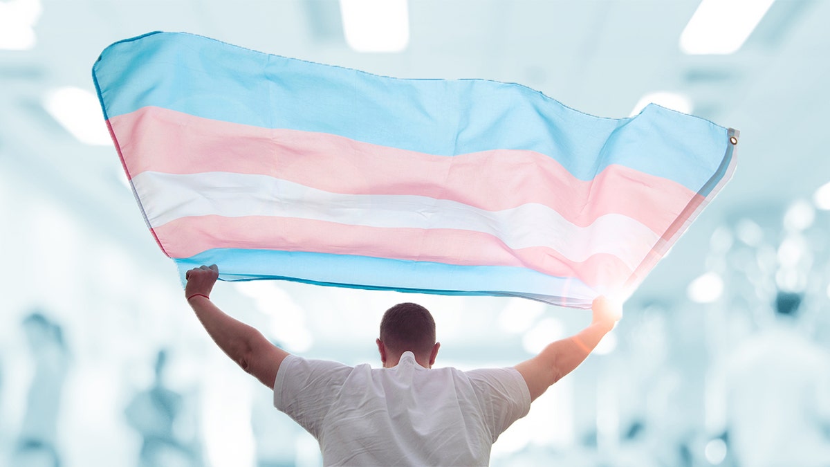 Person holding a transgender flag