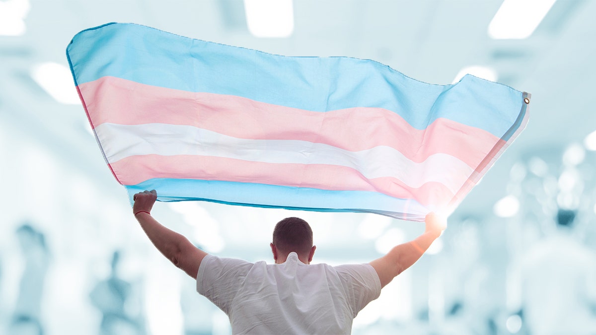 A person holding a transgender pride flag.