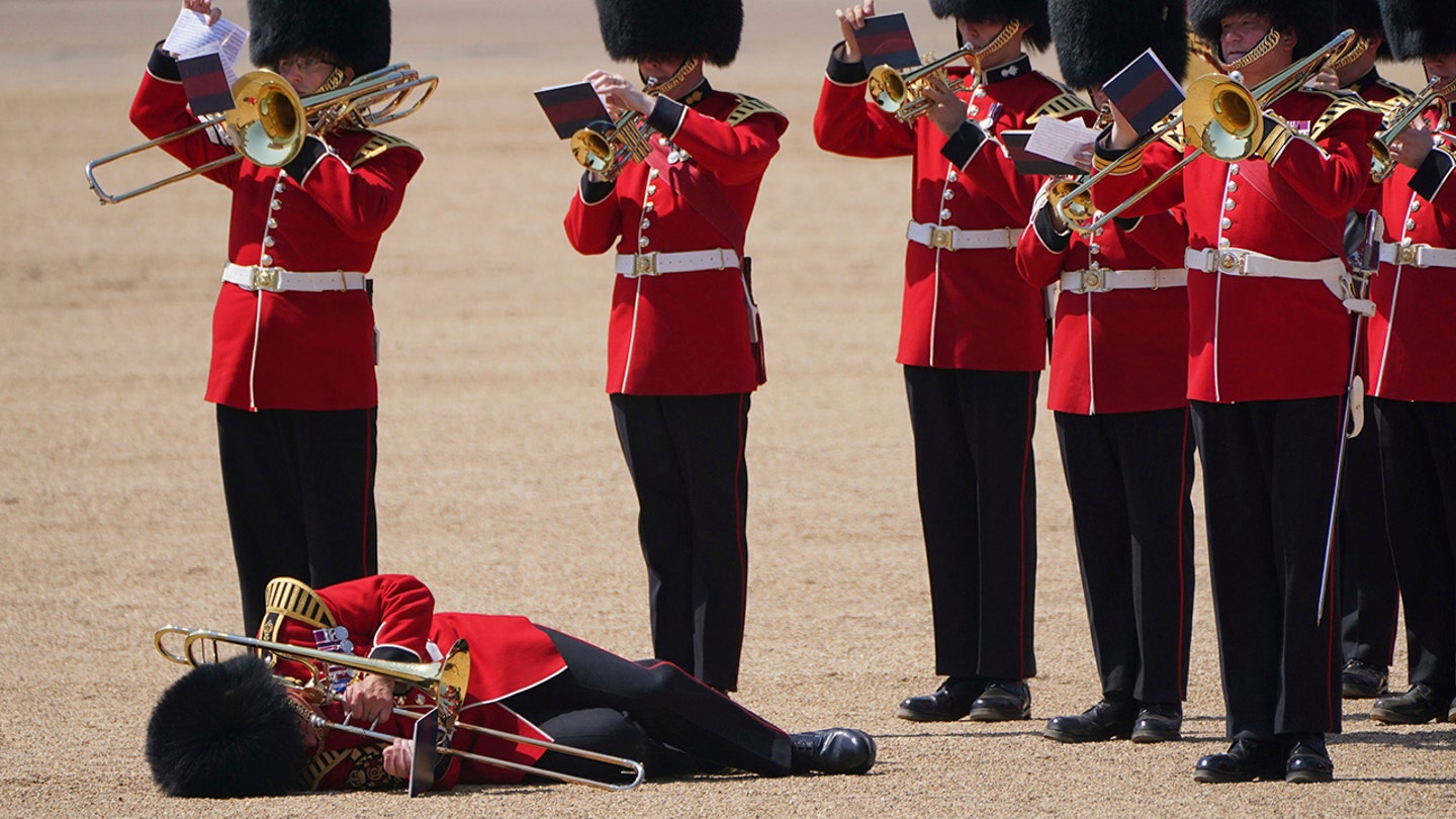 Tourist Bitten by King Charles III's Guard Horse