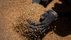 Hundreds have died of hunger in Ethiopia after US, UN paused food aid, according to local officials