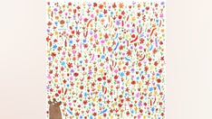 Brain teaser: Can you spot the bow tie hidden in the flowers?
