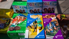 Girl Scouts distance themselves from online form allowing boys in 'gender inclusive' overnight camps
