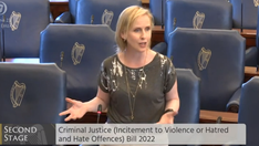 Irish politician boasts hate speech bill will ‘restrict freedom’ to protect trans people from ‘discomfort’