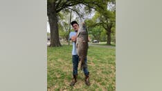 Kansas man smashes state fishing record with 64-pound smallmouth buffalo: 'Whoa!'