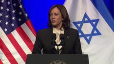 Israeli official blasts Kamala Harris' criticism of judicial reform, says she can't name one provision